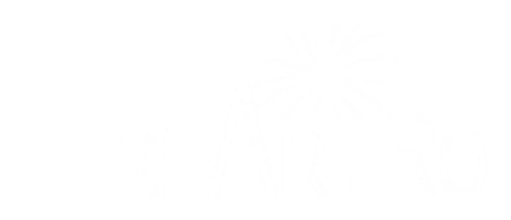 FireArtRo